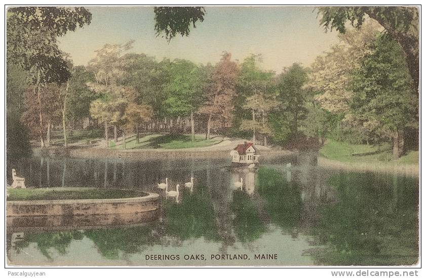 CPA HAND COLORED - DEERINGS OAKS - PORTLAND - MAINE - Portland