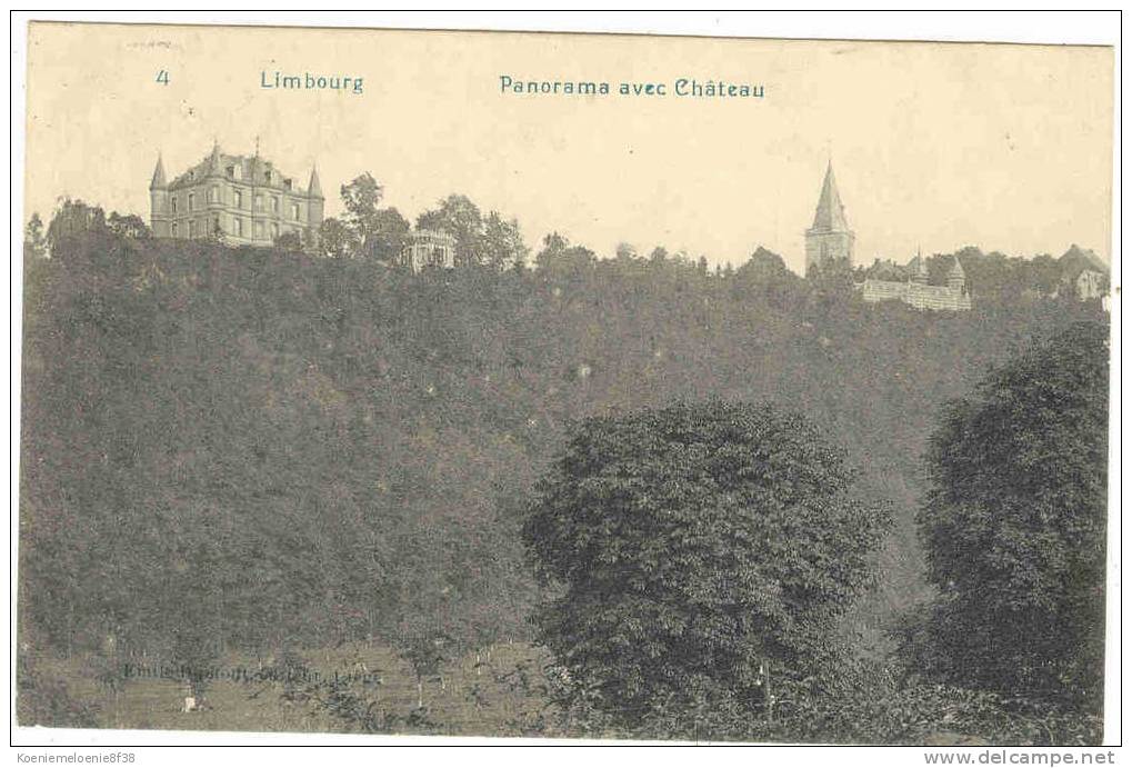 LIMBOURG - PANORAMA AVEC CHATEAU - Limbourg