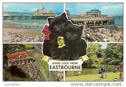 GOOD LUCK FROM EASTBOURNE. - Eastbourne