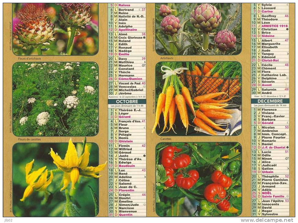 Calendrier 2004 La Poste - Les Fleurs Deviennnent Légumes Dans Notre Jardin - Département De L´Aisne - Groot Formaat: 2001-...