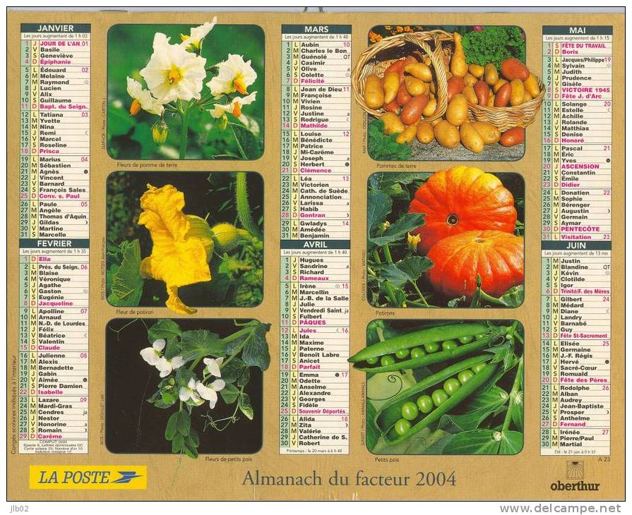 Calendrier 2004 La Poste - Les Fleurs Deviennnent Légumes Dans Notre Jardin - Département De L´Aisne - Grossformat : 2001-...