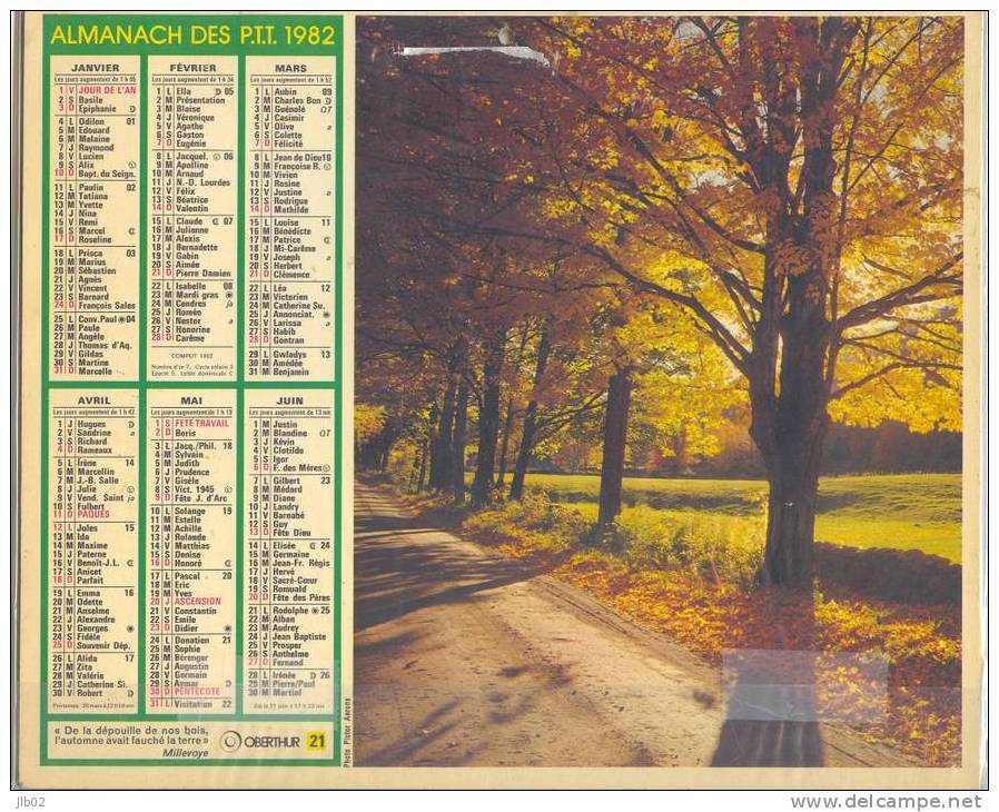 Calendrier 1982 - Almanach Des PTT - Sous Bois Millevoye - Vieilles Pierres Ameugny - - Grossformat : 1981-90