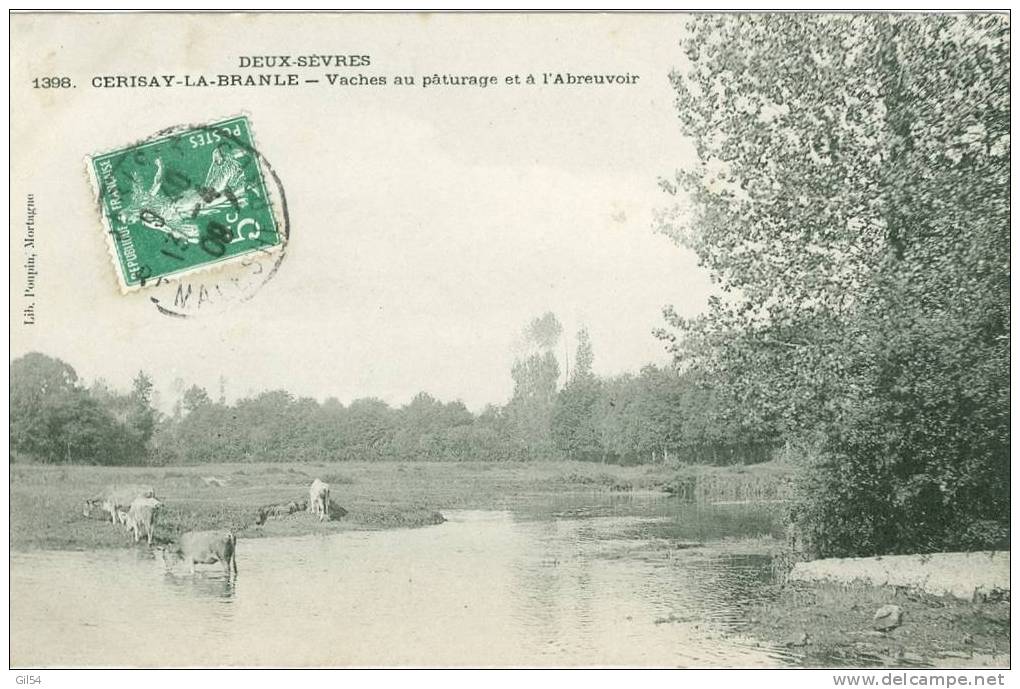 1398 - Cerizay La Branle - Vaches Au Pâturage Et à L'abreuvoir  - Jp17 - Cerizay