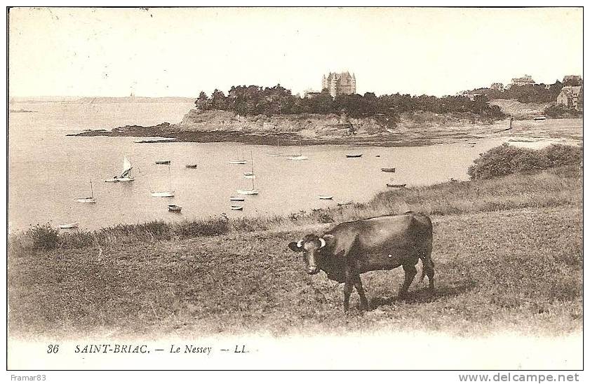 Saint Briac - Le Nessey ( Vache Et Bateaux ) - Saint-Briac