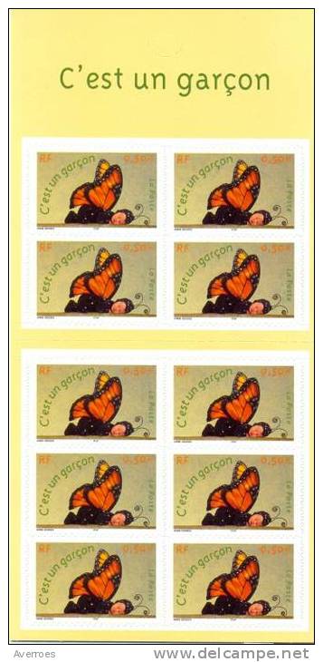 C'est Un Garçon  -   Carnet  De 10 Timbres Yvert N° BC3635 Année 2004 - Gelegenheidsboekjes