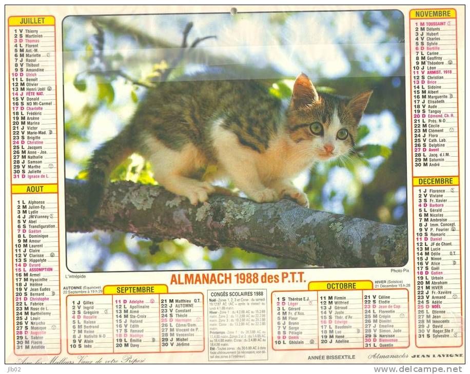 - Calendrier Almanach Des PTT 1988 - Chiots - L'intrépide (Chat)  - Département De L'Aisne - Big : 1981-90
