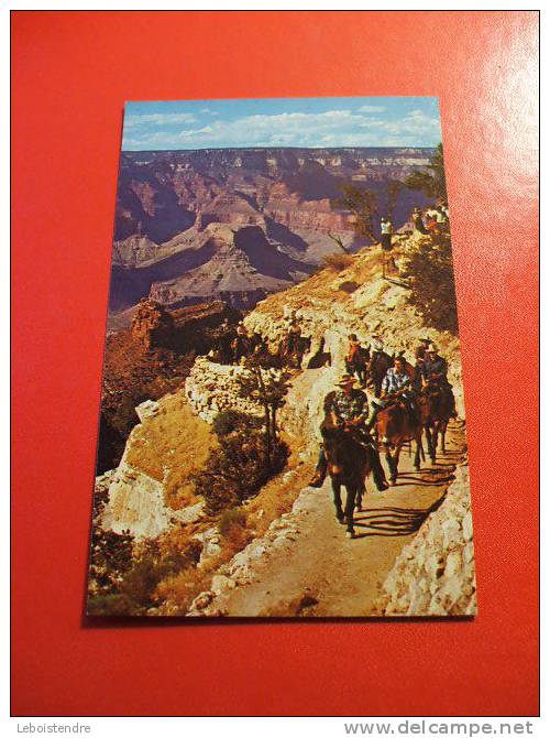 CPSM OU CPM ?-ETATS-UNIS : GRAND CANYON ARZONA-THE DAILY MULE TRAIN ARRIVES AT  THE TOP OF BRIGHT --CARTE AVEC DES CAVAL - Gran Cañon