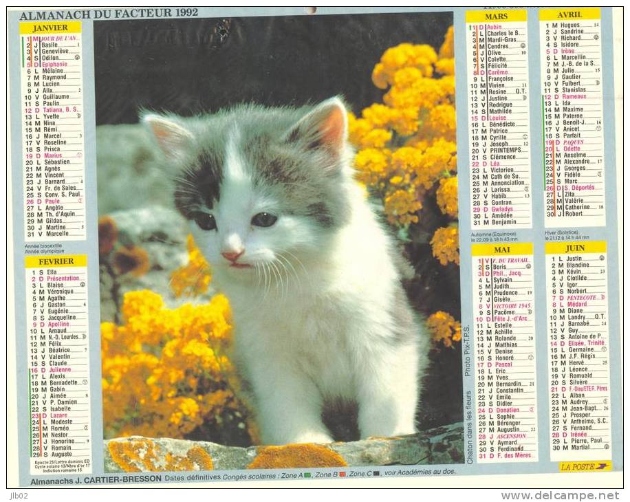 Calendrier - Almanach 1992 - Petit Chat - Chaton Dans Les Fleurs - Département De La Marne - Groot Formaat: 1991-00