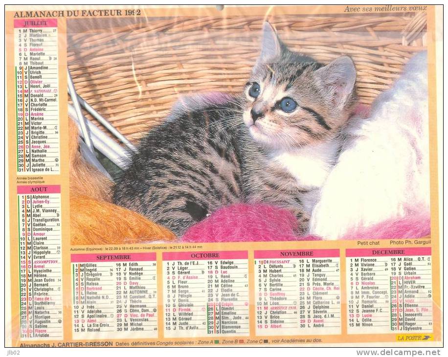 Calendrier - Almanach 1992 - Petit Chat - Chaton Dans Les Fleurs - Département De La Marne - Tamaño Grande : 1991-00