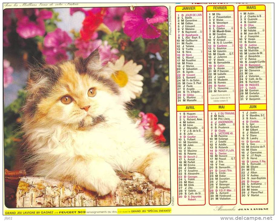 Calendrier - Almanach 1989 - Chatons - Département De La Marne - Formato Grande : 1981-90