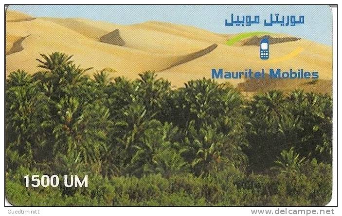 Mauritanie.oasis. - Mauritanië