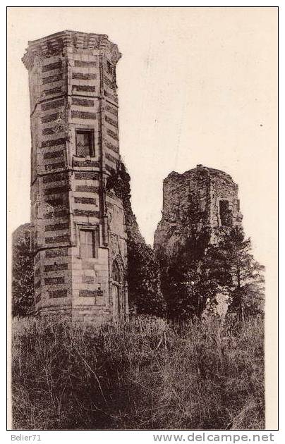78 / Montfort L'Amaury. Ruines De L'Ancien Donjon Et Tour D'escalier D'Anne De Bretagne - Montfort L'Amaury