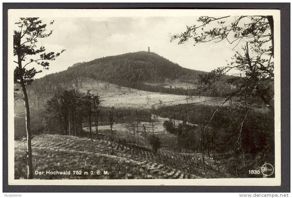 Germany PPC Lausitzer Gebirge Der Hochwald Oberfriedersdorf 1931 To Sweden Echt Real Photo Véritable  (2 Scans) - Oybin