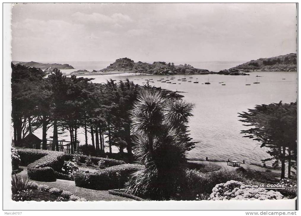 TREBEURDEN 22 Les Trois Plages Vues De Pors Termen Editions La Cigogne Carte Dentelée Véritable Photo - Trébeurden