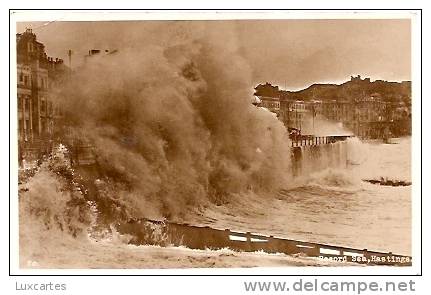 50.  RECORD SEA . HASTINGS - Hastings