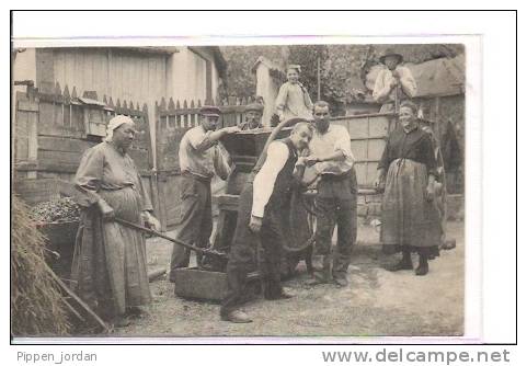 SCENE De FERME  * Très Belle CPA Animée - Top - Culturas