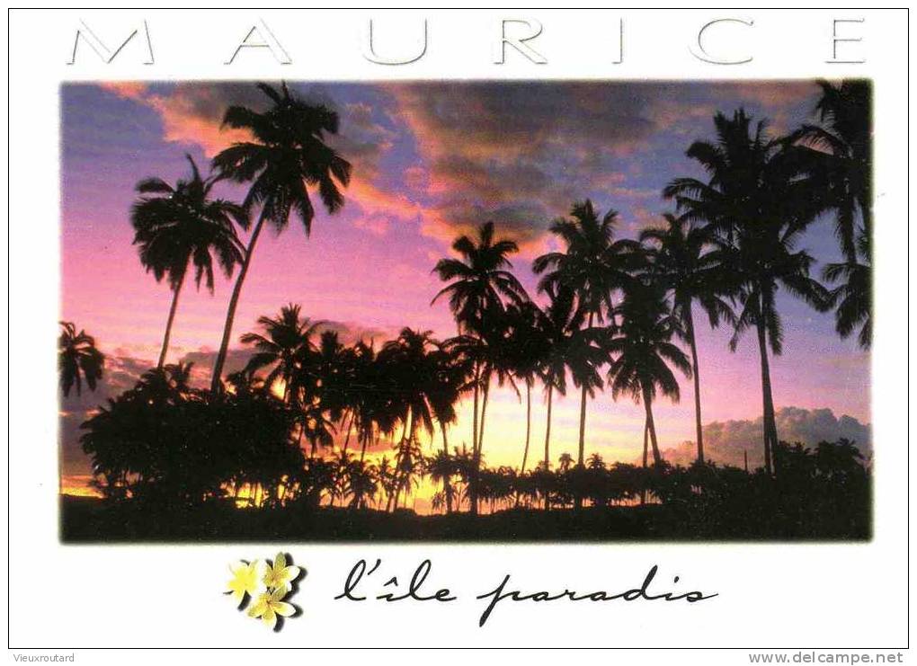 CPSM.  ILE MAURICE. SOLEIL COUCHANT COCOTERAIE. - Mauricio