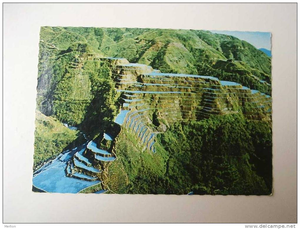 Philippines - Rice Terraces  CPM -F   D42372 - Filipinas