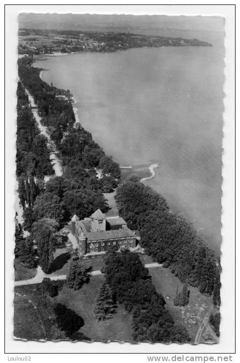 74 - SCIEZ - Le Chateau De Coudrée Et Le Lac Léman, Vue Aérienne -  Bord Dentelé - Excellent  état - Sciez