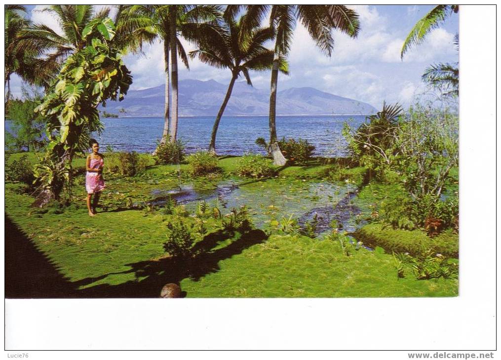 TAHITI  -    Vue De MATAIA  à La Presqu´ile  -   N° C 22669 - Polynésie Française