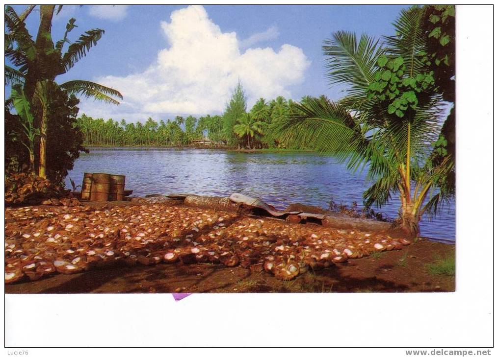 TAHITI  -   Préparation Du Coprah Devant La Splendide  Baie De  MATAIERA   -  N° C 19902  - - Polynésie Française