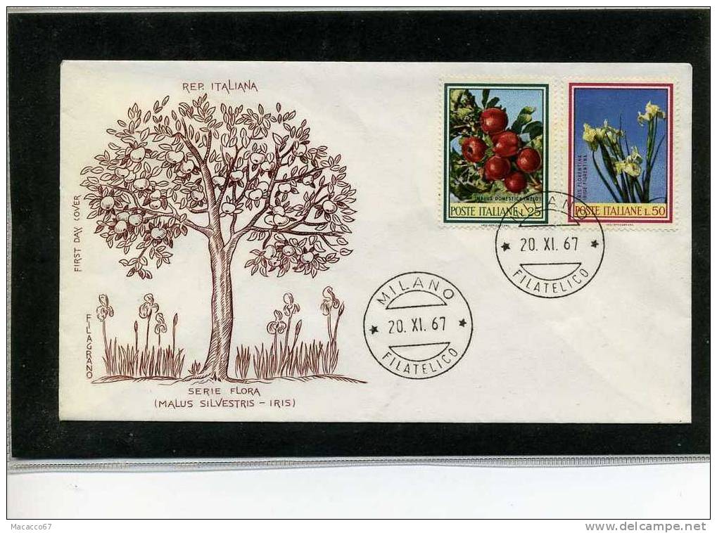 FDC 1967 FLORA ITALIANA - FDC