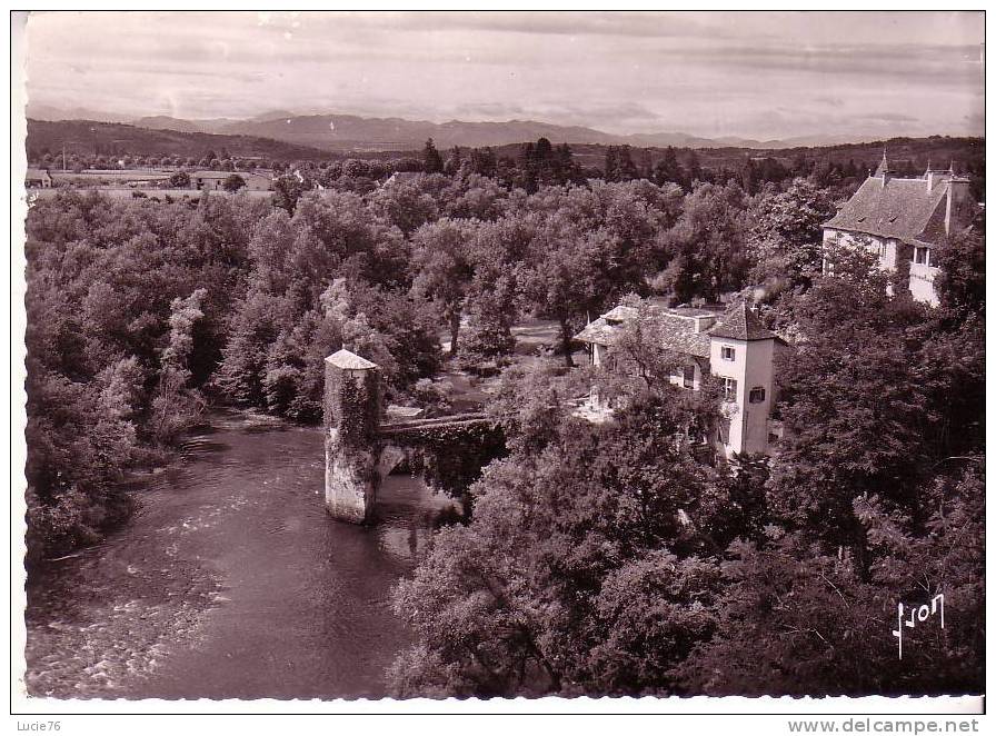 SAUVETERRE DE BEARN -  Le Gave D´ OLORON  Et Le Vieux Pont De La Légende Vus Des Terrasses  - N° IB  5023 - Sauveterre De Bearn