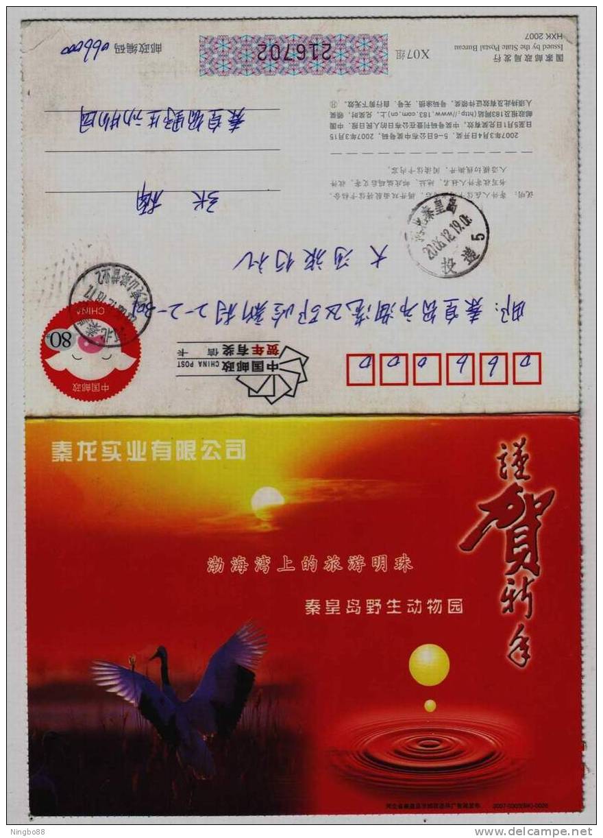 Red Crowned Crane Bird In Wetland Of Bohai Bay,CN07 Qinhuangdao Wild Life Animal Park Advert Pre-stamped Letter Card - Kranichvögel