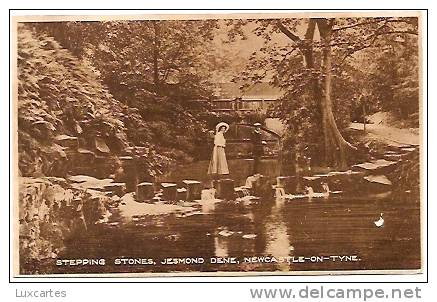 STEPPING STONES. JESMOND DENE . NEWCASTLE-ON-TYNE. - Newcastle-upon-Tyne