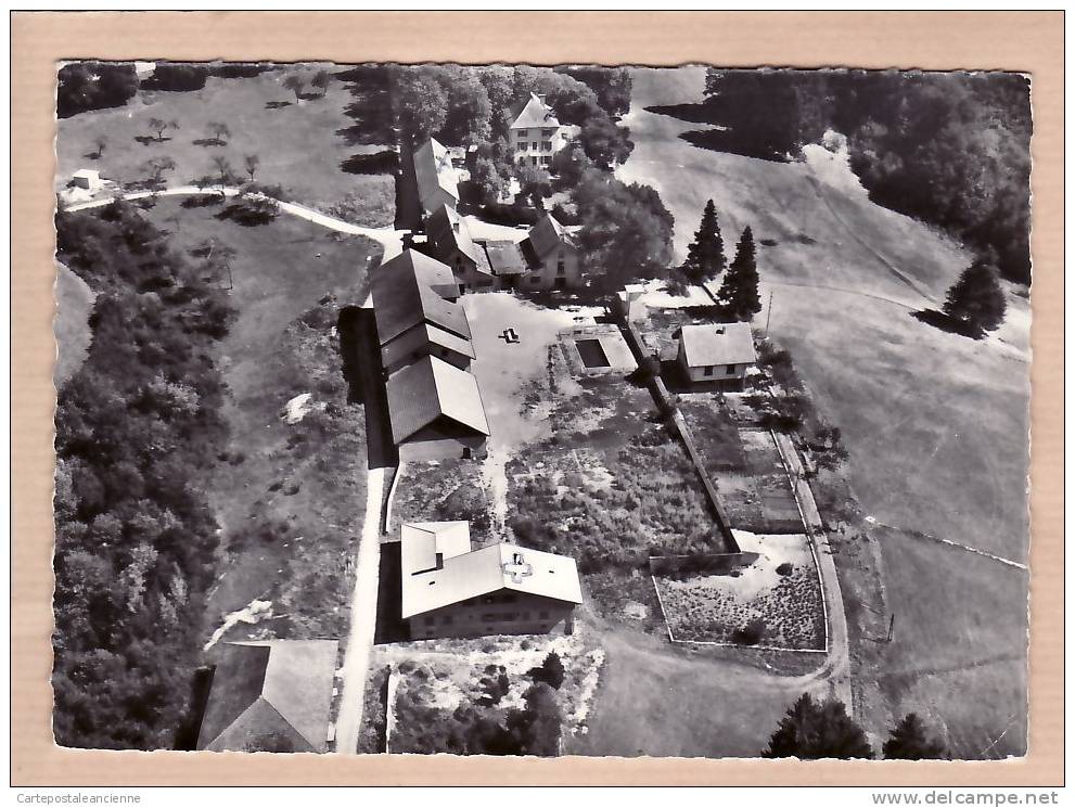 38 ROYBON COLONIE VACANCES CHATEAU ROCHER Circa 1960 ¤ CELLARD N°31252 ¤ ISERE ¤7263A - Roybon