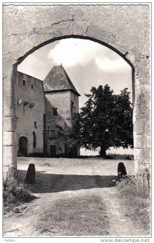 Carte Postale 63. La Roche-les-Aigueperse  Le Chateau  Trés Beau Plan - Aigueperse