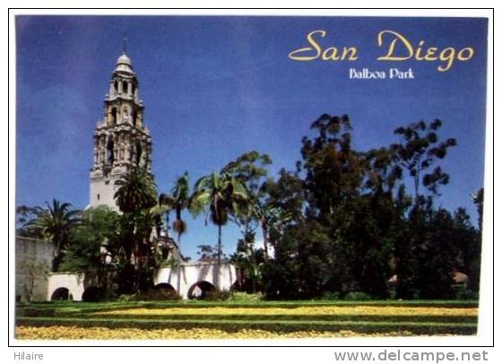 Cpm SAN DIEGO 240 Balboa Park And California Tower - San Diego