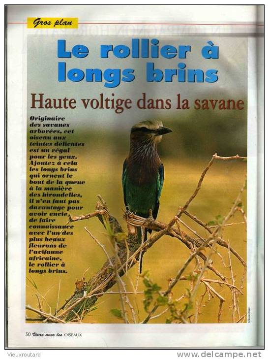 VIVRE AVEC LES OISEAUX, N° 58 - JUIN/JUILLET 2003 - Animales