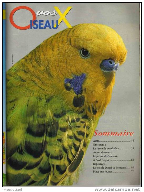 VIVRE AVEC LES OISEAUX, N° 60 - OCTOBRE/NOVEMBRE2003 - Tierwelt