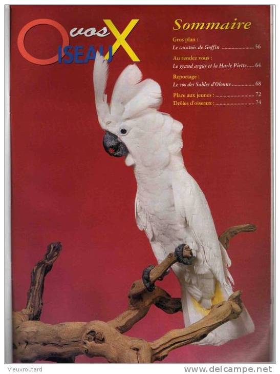 VIVRE AVEC LES OISEAUX, N° 62 - FEVRIER/MARS 2004 - Dieren