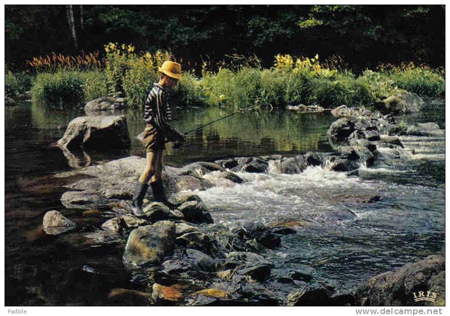 Carte Postale  Pêche à La Truite  Dans Les Ardennes   Trés Bau Plan - Pêche