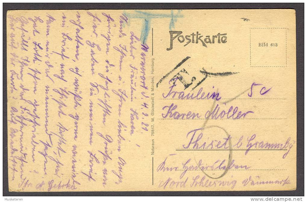 Germany PPC Woman Frau Femme Nordseebad Büsum (TAXE) T-Cancelled Card To Nord Schleswig 1921 - Buesum