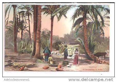 14637)cartolina Illustratoria  Tripoli - Accampamento Di Arabi - Somalie