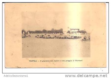 14645)cartolina Illustratoria  Tripoli - Il Giardino Del Jarick E Montoni - Somalie