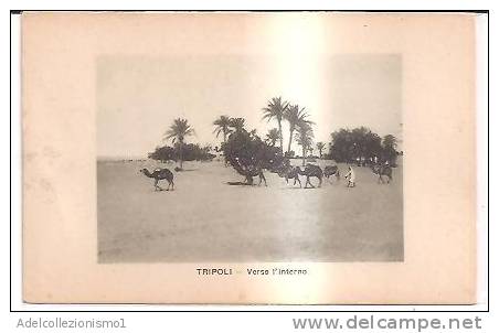 14648)cartolina Illustratoria  Tripoli - Verso L'interno - Somalia