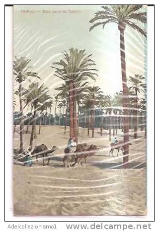 14651)cartolina Illustratoria  Tripoli - Sulle Porte Del Deserto - Somalia