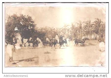 14655)cartolina Illustratoria  Tripoli - Safari - Somalia