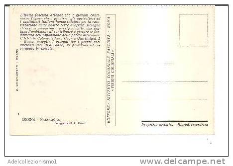 14657)cartolina Illustratoria  Derna - Panorama - Somalie