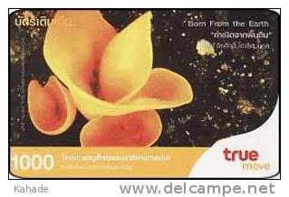 Thailand  Phonecard    Pilze Mushrom True 1000 Baht - Autres & Non Classés