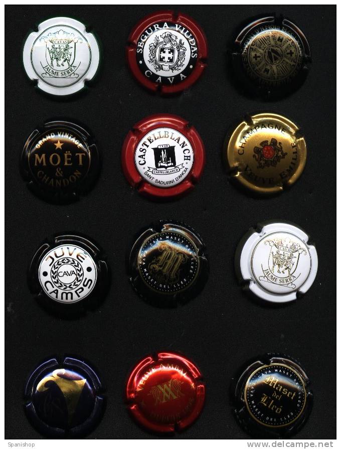 LOTE 12 DIFFERENTS CAVA - CHAMPAGNE CAPSULES - Sparkling Wine