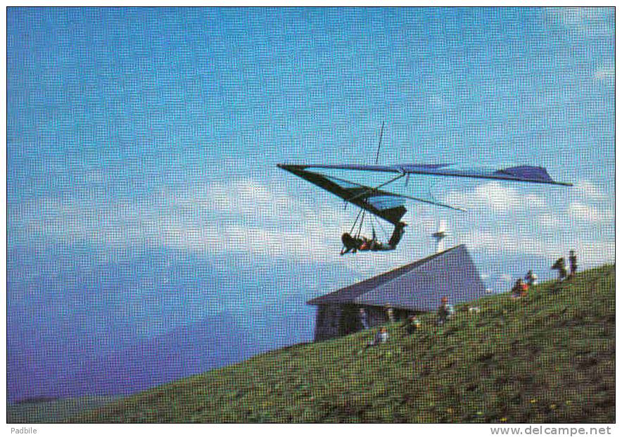 Carte Postale  59. Loos  Albatros Et Goeland  "Les Hommes Volants De La Manche" Delta-Plane  Trés Beau Plan - Loos Les Lille