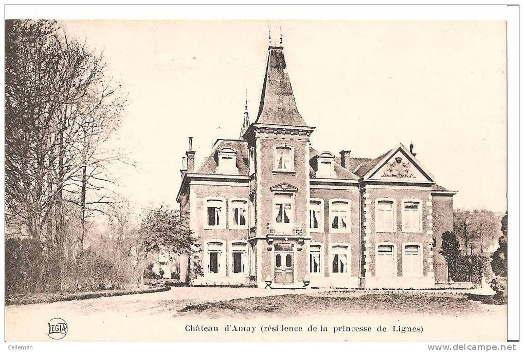 Amay Chateau Residence De La Princesse De Lignes (b1428) - Amay