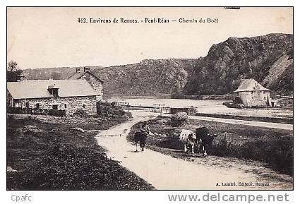 CARTE 1900 Pont Réan , Environs De Rennes ,chemin Du Boel , Maisons ,vaches - Autres & Non Classés