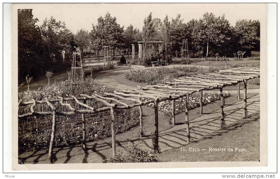 L399 :  ESCH-SUR-ALZETTE : Rosaire Du Parc - Esch-sur-Alzette