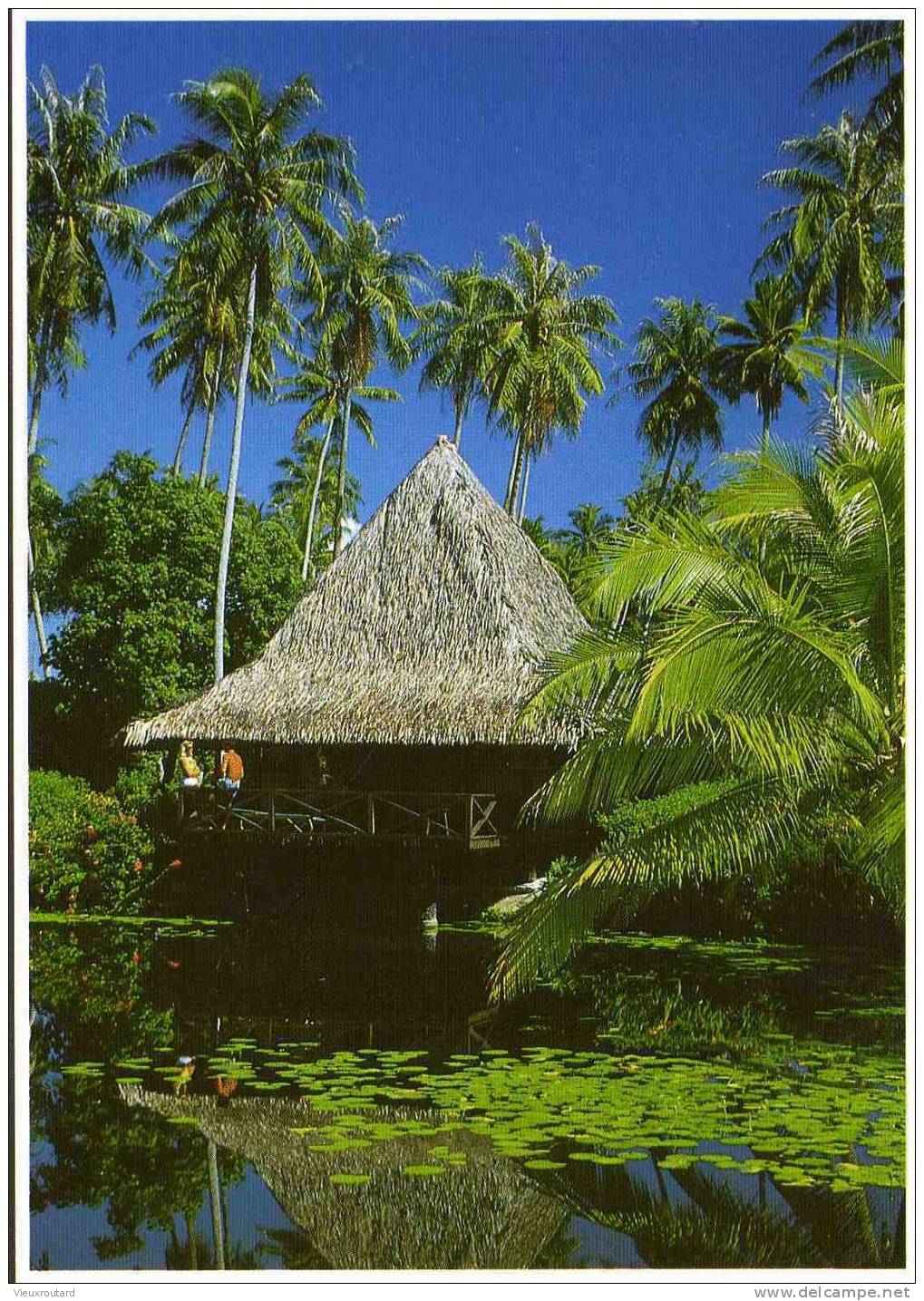 CPSM.  TAHITI. BUNGALOW EN PANDANUS TRESSE AU DESSUS DE L'EAU. - Polynésie Française